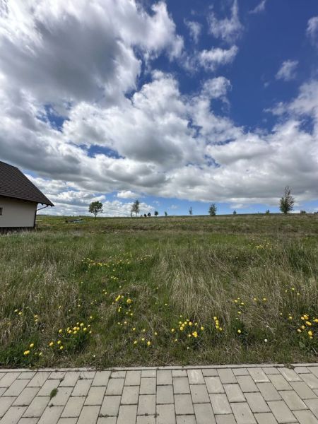 Land for sale in Malý Slavkov - residential, meadow with dandelions under a blue sky.