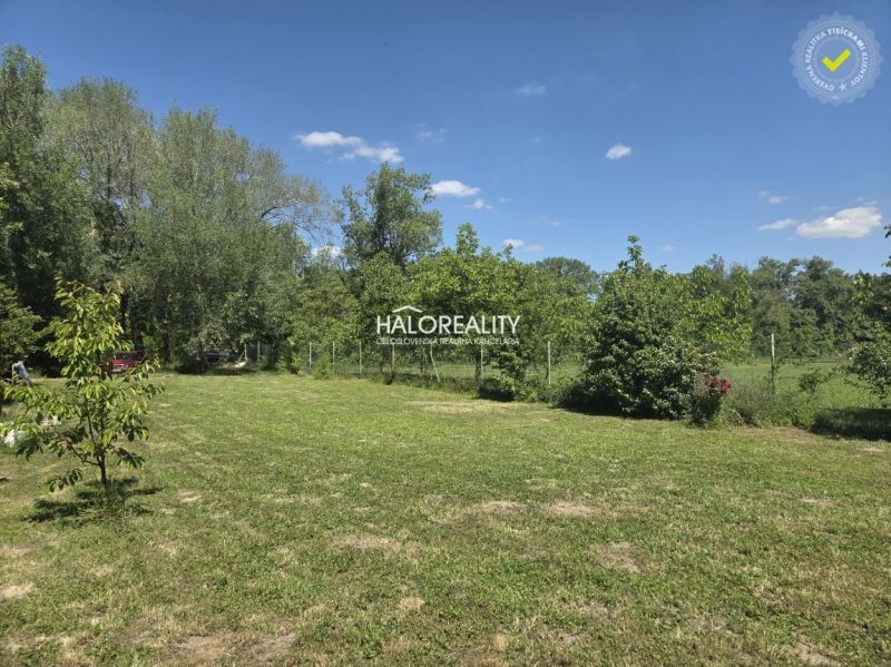 Greenery and trees on residential plots in Potônske Lúky under the blue sky.
