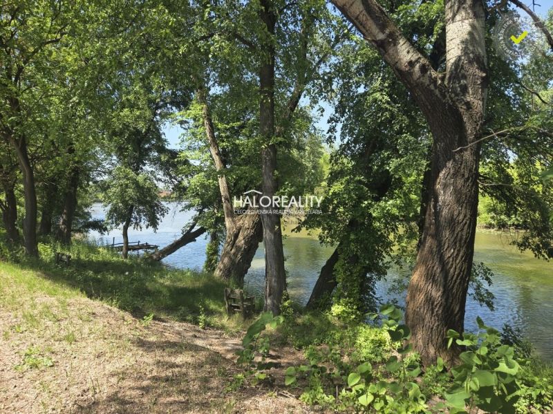 A river surrounded by trees in Potônské Lúky, ideal for plots - living.