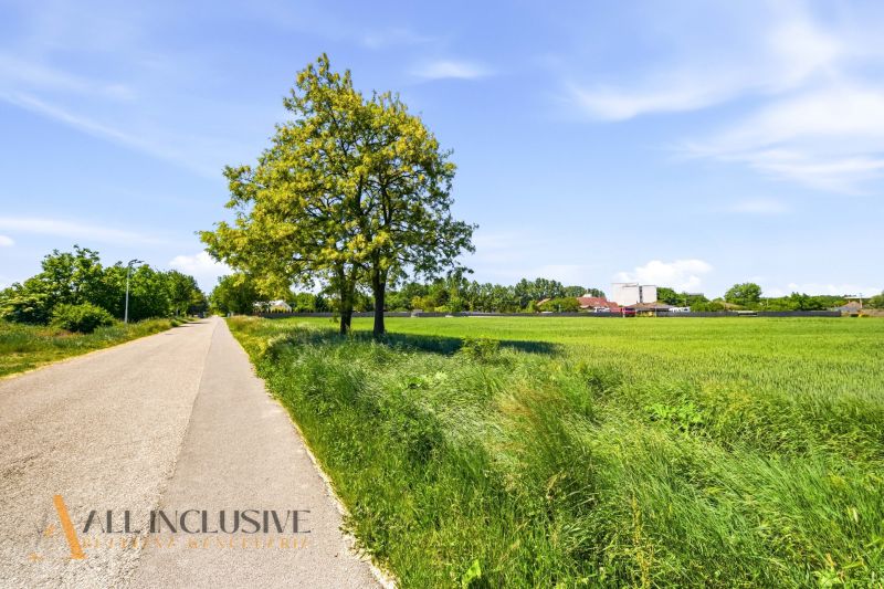 A road lined with trees and meadows leads to Horný Bar.
