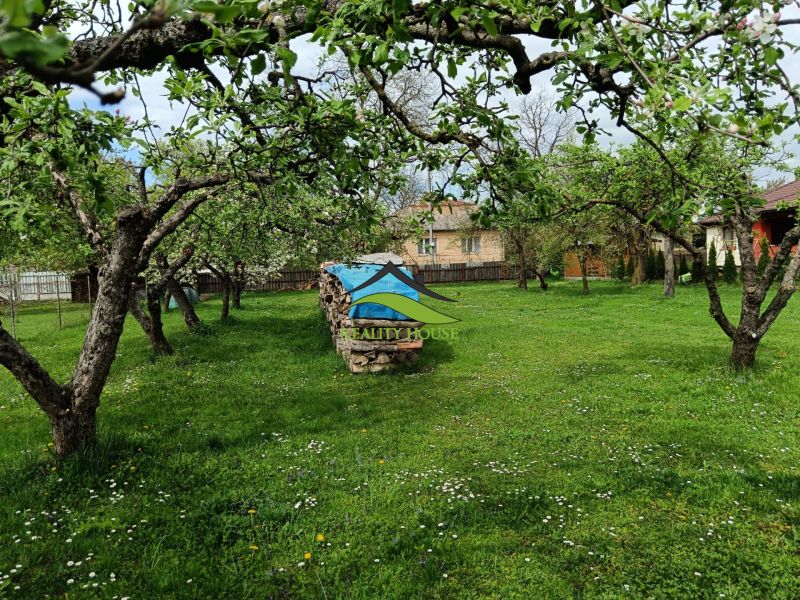 Plots - housing in Strážske with fruit trees and a wood storage in the garden.