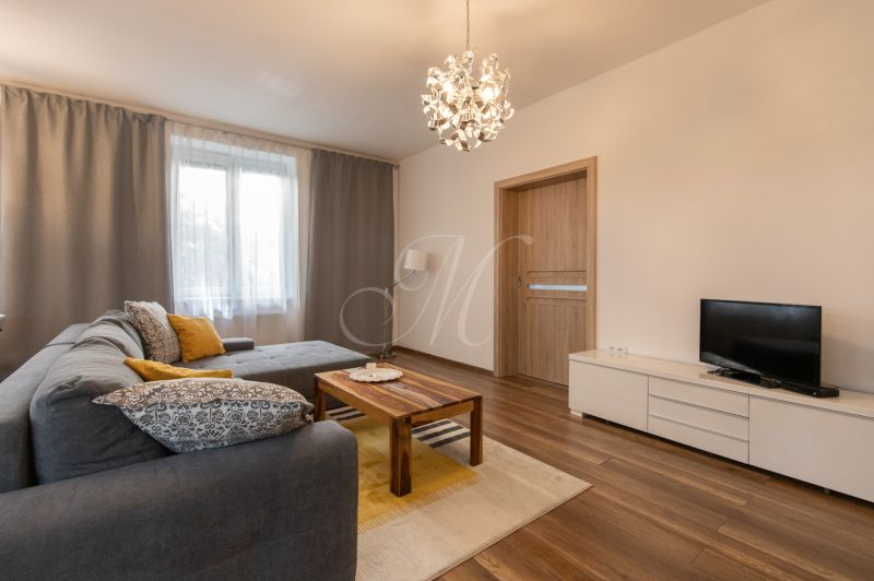 Living room in a two-room apartment with a wooden decor floor and a comfortable gray sofa.