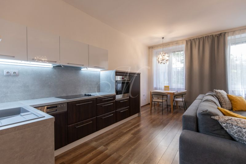 Kitchen and living area with wood-patterned flooring in a 2-room apartment.