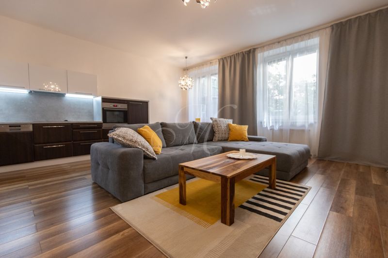 Living room in a 2-room apartment with a sofa, kitchen, and wood-patterned flooring.
