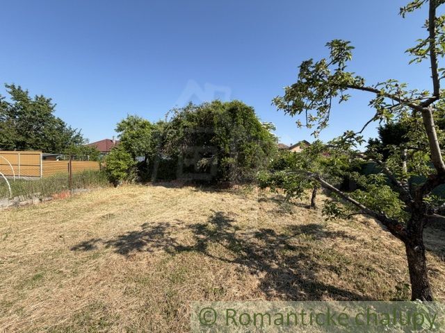 The garden of a family house in Šurany with a lawn and trees.