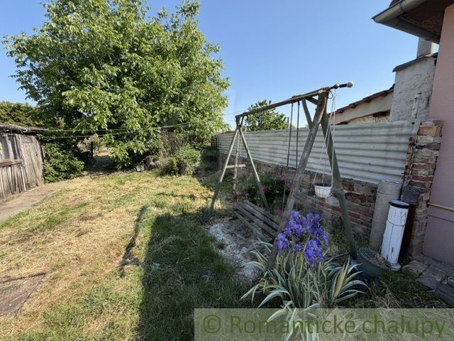 The garden of a family house in Šurany with an old swing and a line of flowers.