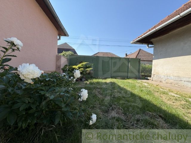 The garden of a family house in Šurany, with a lawn and blooming white flowers.