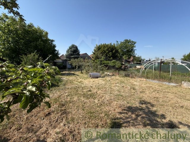 A garden at a family house in Šurany with trees and an open grassy area.