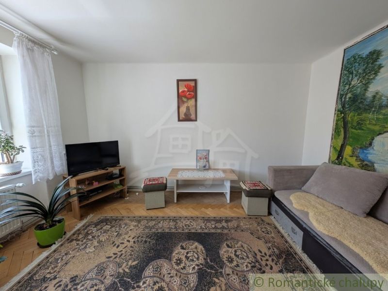 Living room in a two-room apartment with carpets and wood-patterned flooring.