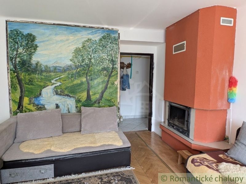 Living room in a 2-room apartment with a landscape painting, a fireplace, and a sofa.
