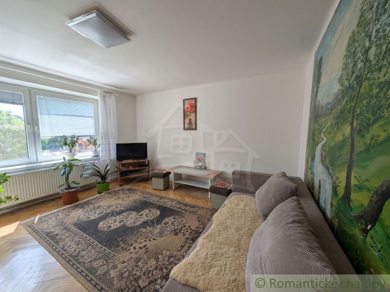 Living room in a two-room apartment with a carpet, comfortable sofa, and large window.