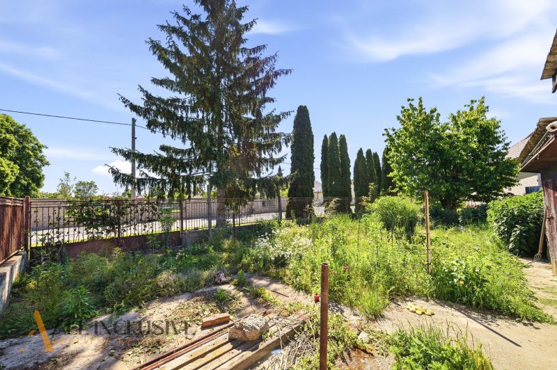 A garden of a family house in Topoľníky with trees and a garden fence.