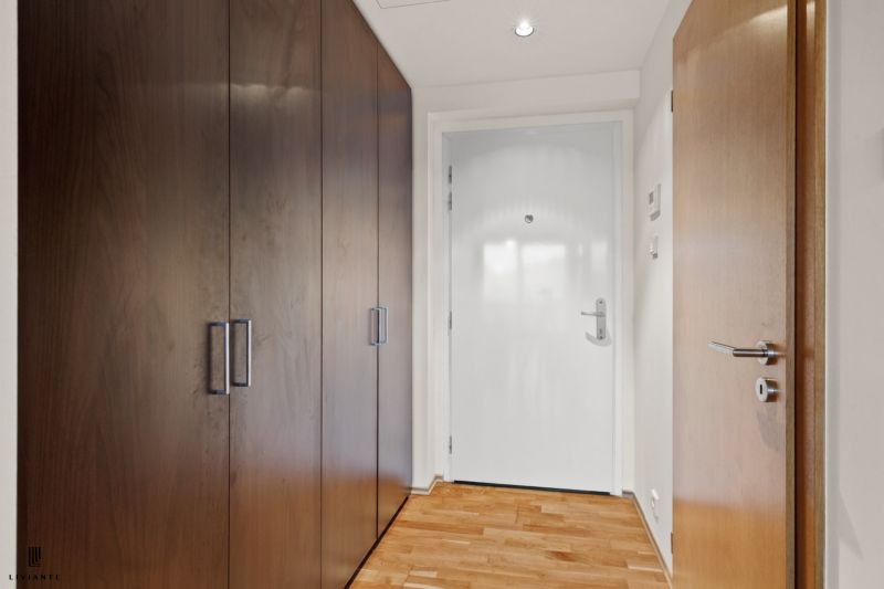 Entrance hallway with wood-patterned flooring and tall wooden storage cabinets.