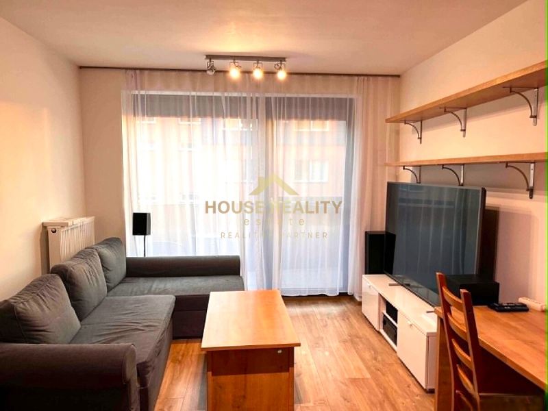 Living room with a sofa, TV, shelves, and wood-patterned flooring in a two-room apartment.