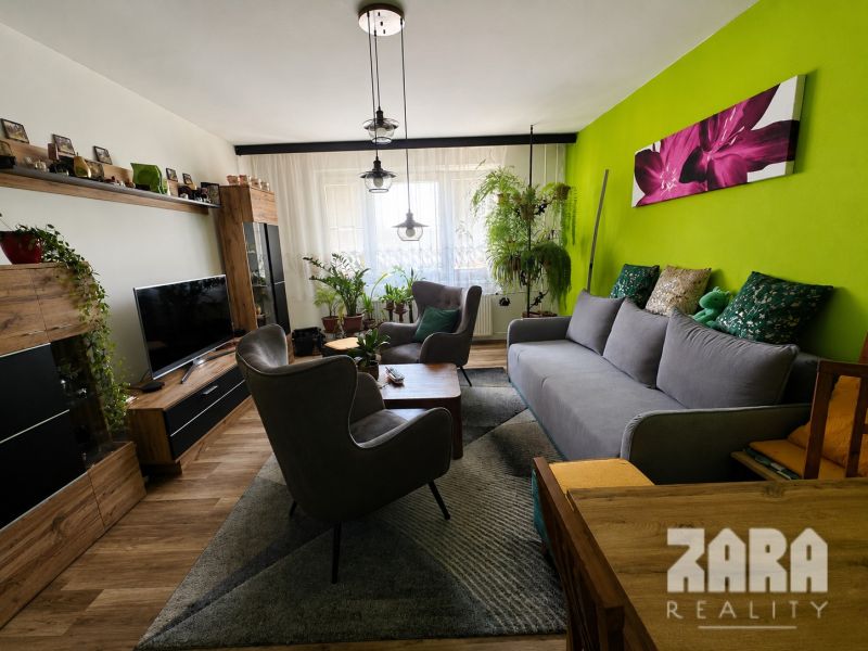 Living room in a 3-room apartment with colors, plants, and a wooden decor floor.