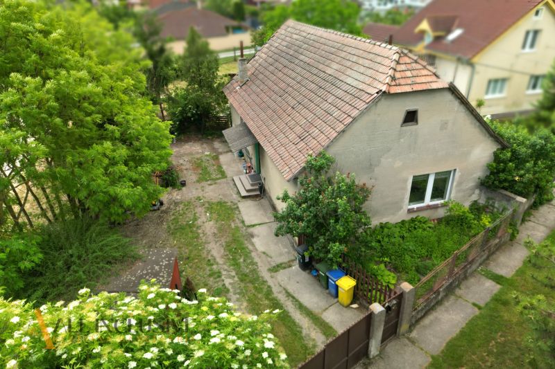A family house in Lehnice surrounded by greenery and a paved road.