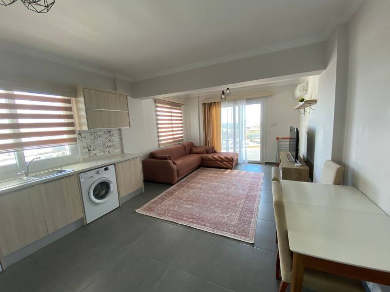 Living room in a 3-room apartment with a kitchen unit, washing machine, and sofa.
