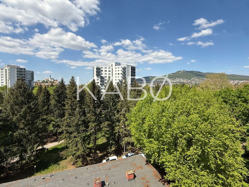 Nitra - Chrenová One bedroom apartment Sale reality Nitra