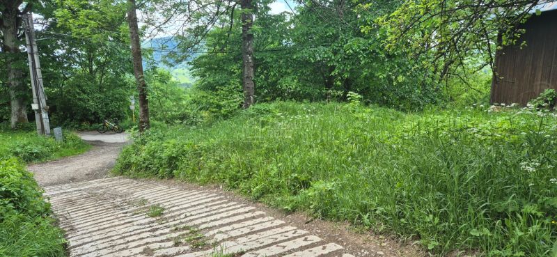 A path in Terchová surrounded by greenery, ideal for residential plots.