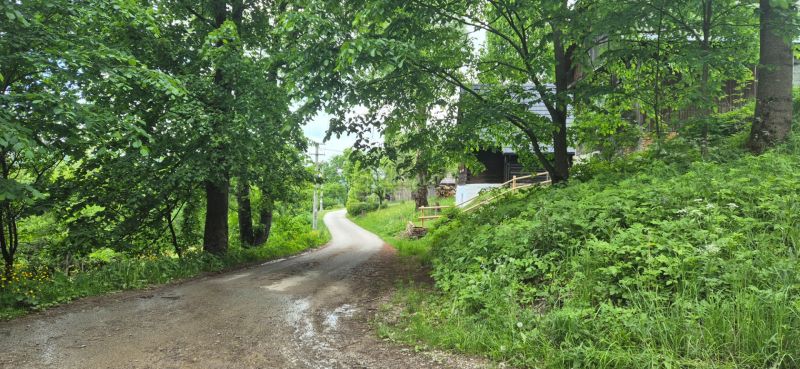 A forest road surrounded by greenery in Terchová, Residential plots.