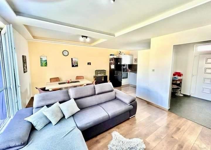 Living room in a family house with a sofa, dining table, and kitchen; floor with a wooden decor.