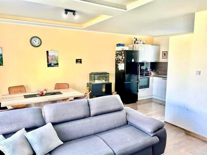 Living area of a family house with a kitchen, sofa, and floor with wooden decor.