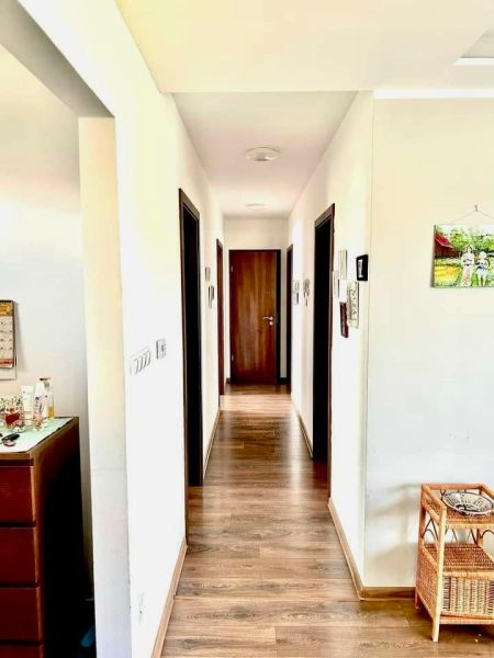 A hallway with a wooden decor floor leads to wooden doors in a family house.
