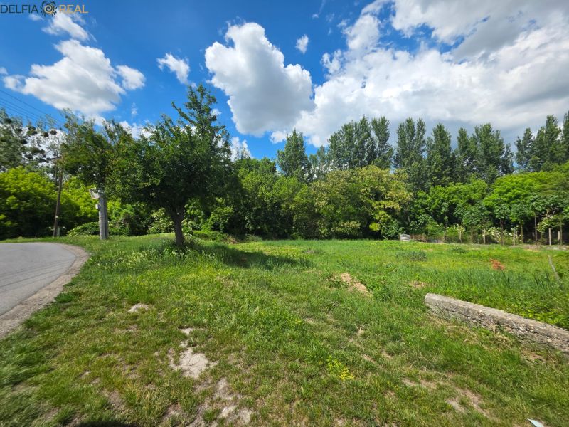 The shot in Tomášikovo on Mlynská shows a residential plot with a grassy area and trees.
