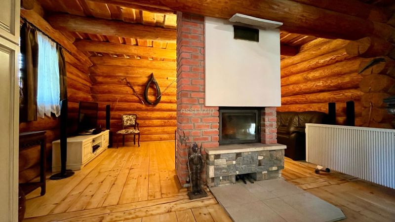 Rustic interior of a family house with a fireplace, wooden walls, and comfortable seating.