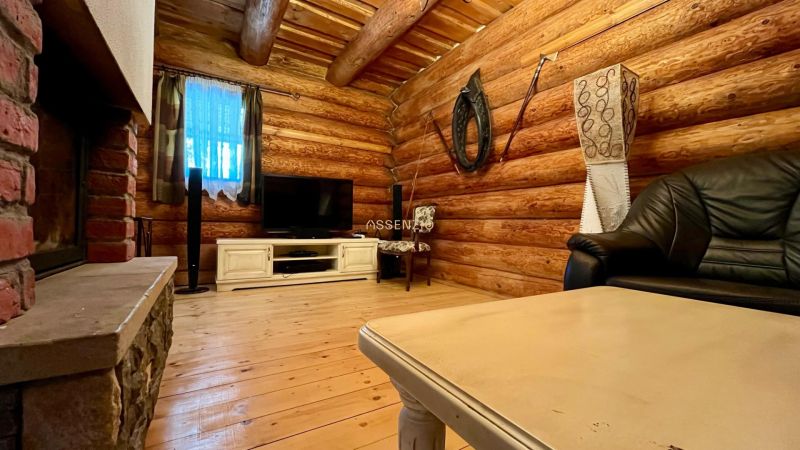 The interior of a family house with a fireplace, television, and wooden walls.