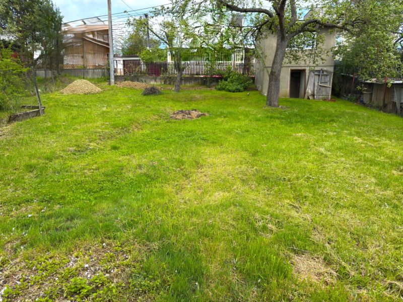 Plots - housing in Lipany with a green grassy area and an older tree.