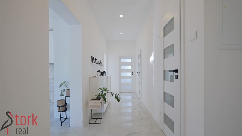 A bright hallway in a family house with plants and white doors on the tiles.