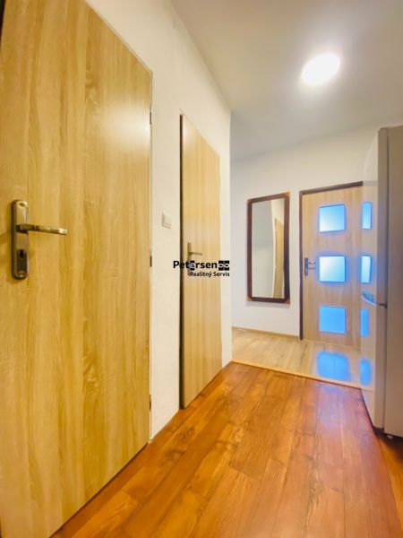 A hallway in a 3-room apartment with a wooden decor floor and wooden doors.