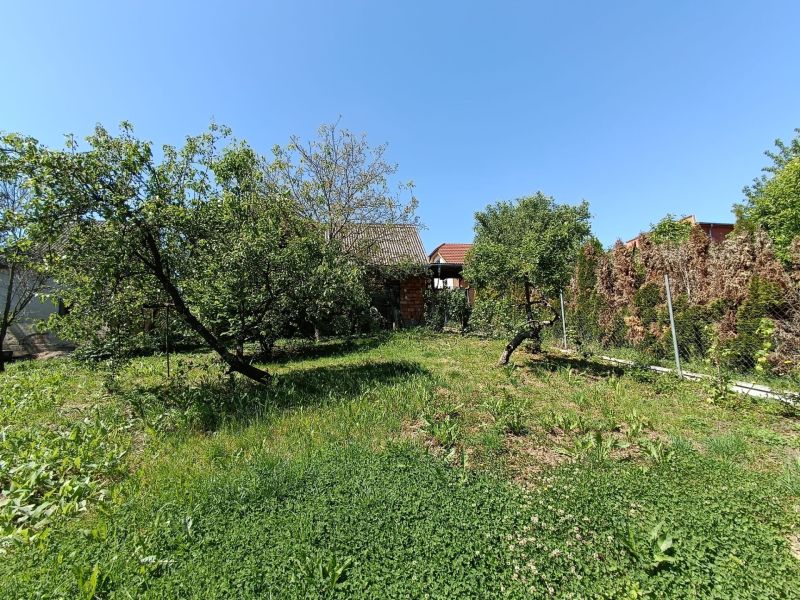 A green garden at a family house in Nová Baňa with fruit trees and a fence.