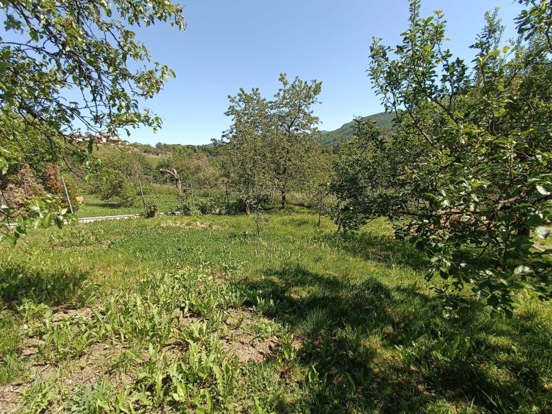 A garden at a family house in Nová Baňa, surrounded by trees and greenery.