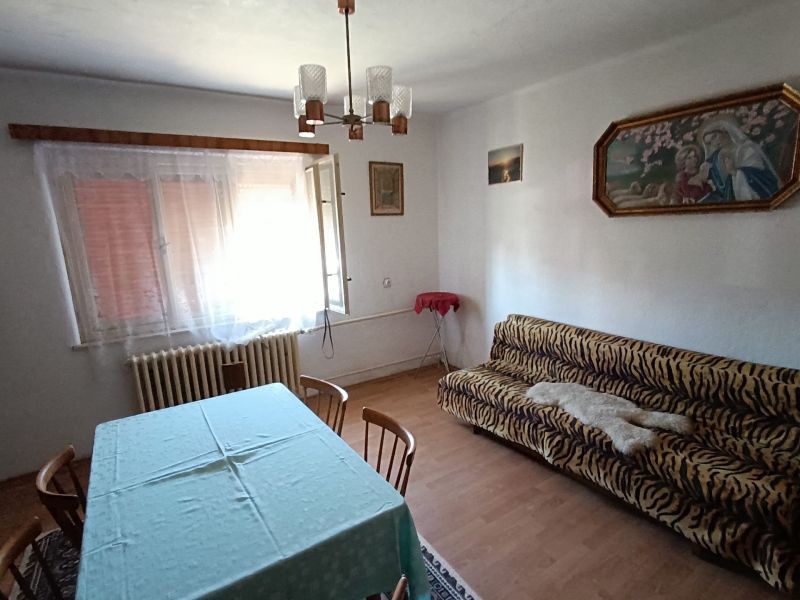 Living room with a tiger-patterned sofa in a family house and a wooden decor floor.