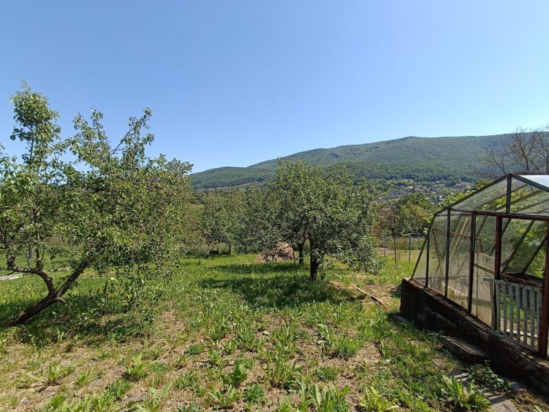 The garden of a family house in Nová Baňa with fruit trees and a greenhouse.