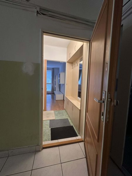 Open entrance hall with wooden decor and storage spaces in the Holiday Apartment.