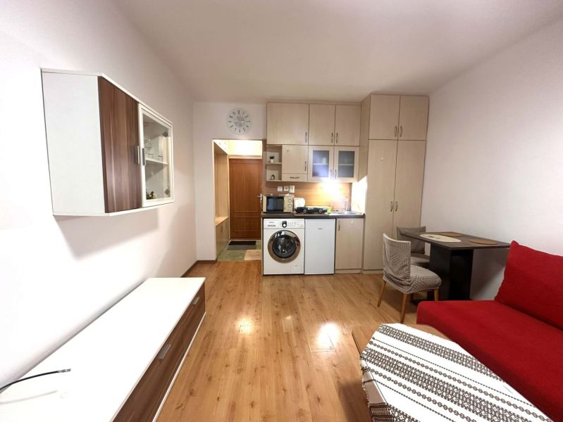 A recreational apartment with a built-in kitchen, a red sofa, and a wooden decor floor.