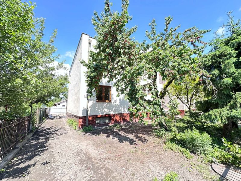 A family house in Dunajská Streda with trees and a landscaped garden in sunny weather.
