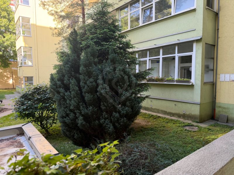 Greenery and a building on Janáčkova in Bratislava - Old Town near a three-room apartment.
