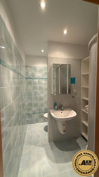 A bathroom in a studio apartment with a sink, shower, and built-in shelves.