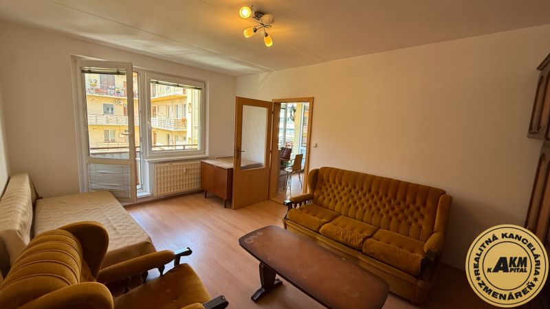 Living room in a studio apartment with a couch and wood-patterned flooring.