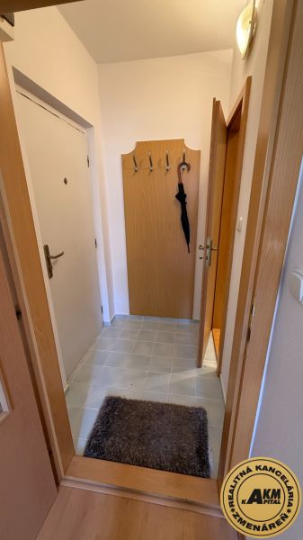 Entrance hall with a coat rack and tiles in a studio apartment, floor with wood decor.