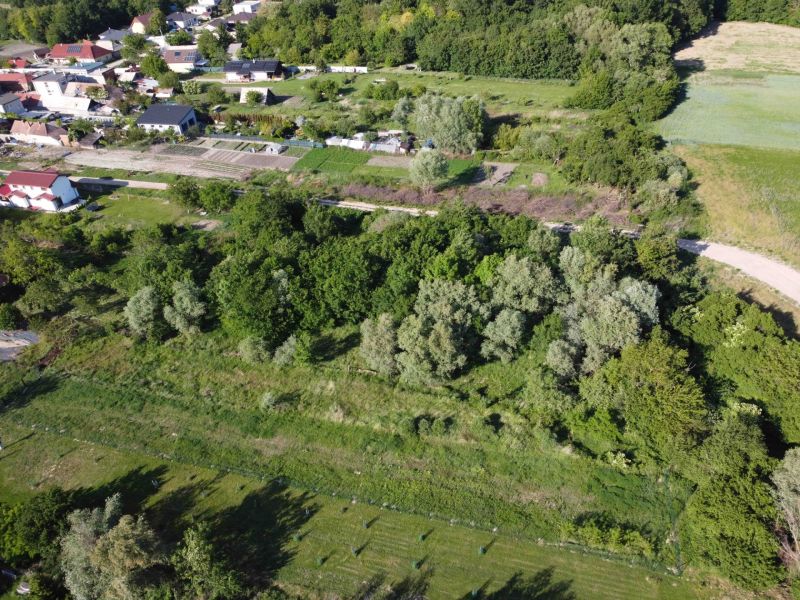 Aerial view of green gardens and houses in the village of Branč.