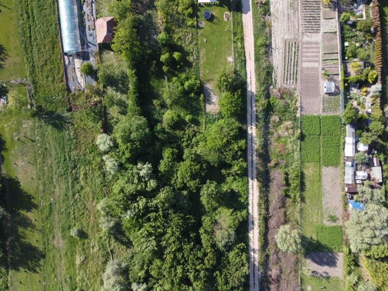 Aerial view of the Gardens in Branč with a road and diverse vegetation.