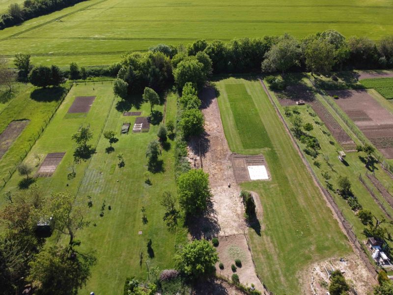 Meadows and trees in the Gardens in Hruboňovo create green spaces for cultivation.