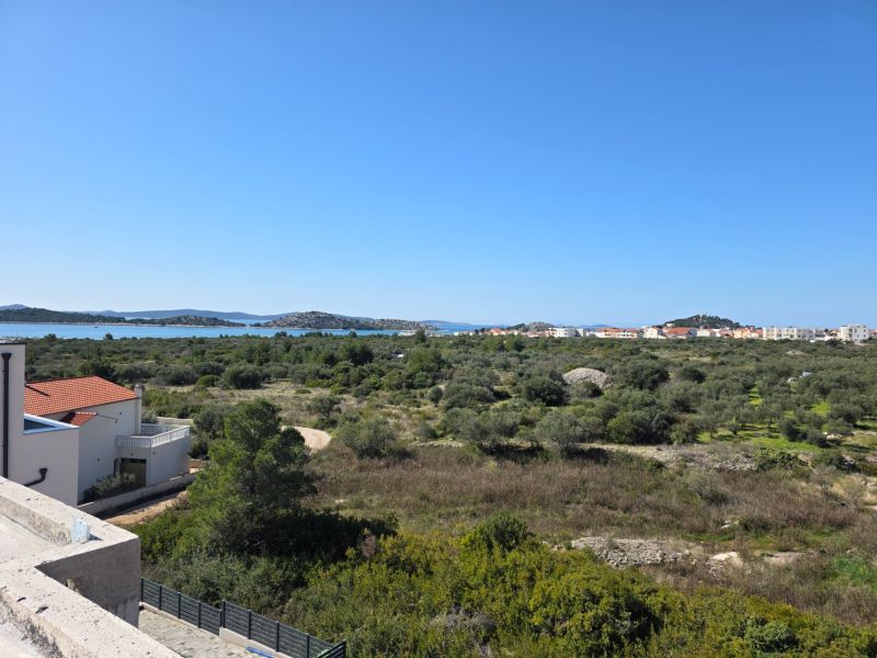 20260313_110438_resized_1.jpg