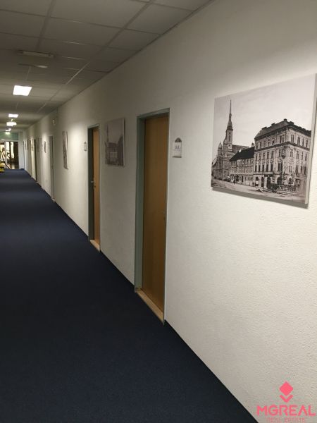 Offices with blue carpet and black-and-white photographs on the walls.