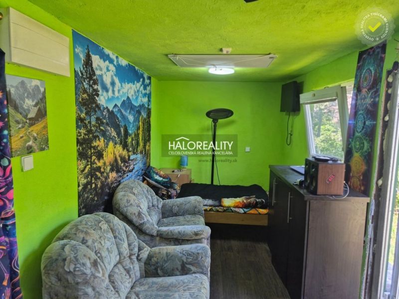 A room with green walls, sofas, a bed, and decorations. A floor with a wooden design.
